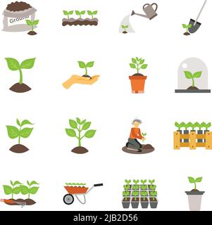 Flowers and plants seedling process flat icons set isolated vector illustration Stock Vector