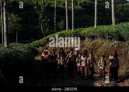 Bogor, Indonesia. 2nd June, 2022. Students walk to school in Tugu Utara Village of Bogor in West Java, Indonesia, June 2, 2022. Credit: Garry Lotulung/Xinhua/Alamy Live News Stock Photo