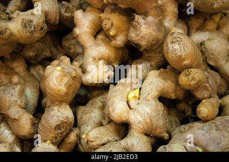 Root ginger for sale in Tiong Bahru, Singapore Stock Photo