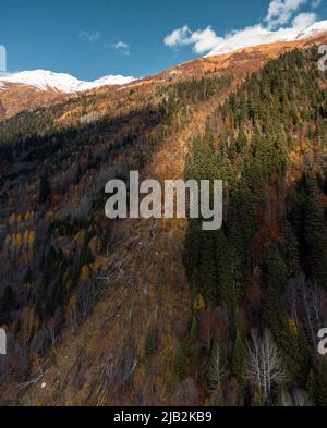 footprint in the forest left by an avalanche that descended in winter on a mountainside Stock Photo