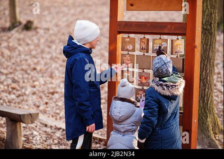 Kids learn pictures with mushrooms in early spring forest. Stock Photo