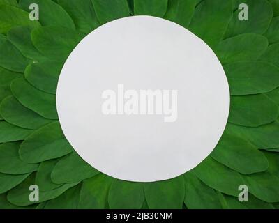 Creative layout made of leaves with paper card. Top view. Place for text.