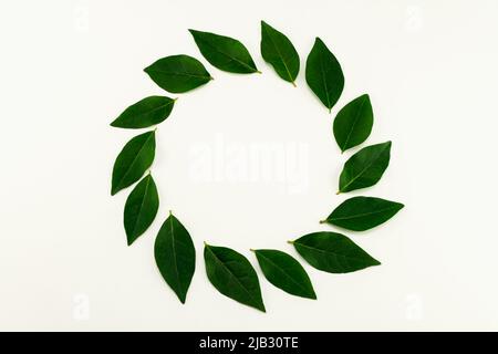 Frame green leaves on white background.Top view. Copy space Stock Photo