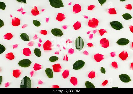Rose petals and leaves pattern isolated on white background. Flat lay, overhead view. Stock Photo