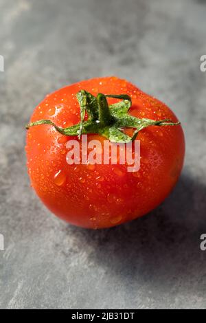 Raw Red Organic Vine Ripened Tomatoes Ready to Eat Stock Photo