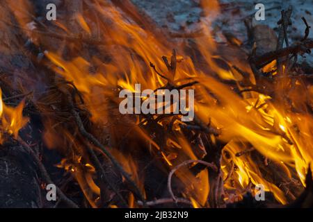 Warm bright fire and sparks in a bonfire from burning wooden logs. Bonfire background. Stock Photo