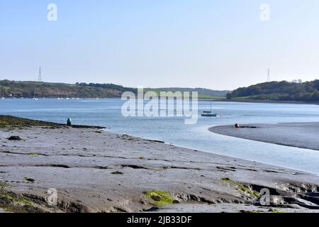 Cleddau river at low tide at East Llanion, Pembrokeshire Stock Photo