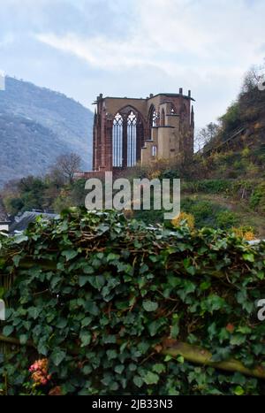 Green plants growing near Wernerkapelle ruins above Bacharach, Germany on a fall day. Stock Photo