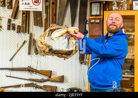 Guðjón Hildibrandsson is manager at the family-run Bjarnarhöfn Shark Museum, Snæfellsnes peninsula, Iceland. He uses a shark mouth to demonstrate the sharks' feeding behavior. Today, his company only processes animals from bycatch. Stock Photo