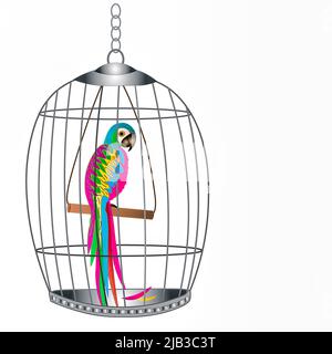 Large graphic bird-cage with tropical parrot inside Stock Photo