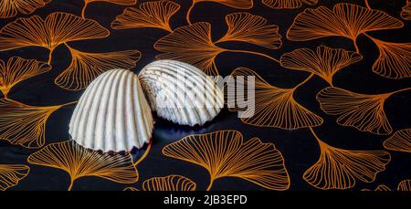 Two white seashells lying on the table Stock Photo