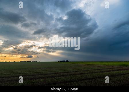Sunrays at the back of a thunderstorm at sunset Stock Photo