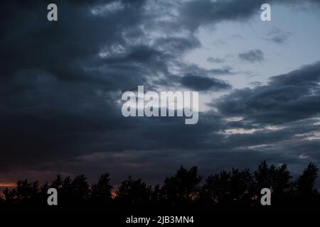 Silhouettes trees, stormy dramatic clouds during evening sunset Stock Photo