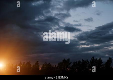 Black silhouettes trees, storm clouds with light breaking through from sun at sunset Stock Photo