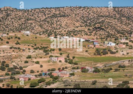 argan tree, Assaka, road from Essaouira to Agadir, morocco, africa Stock Photo