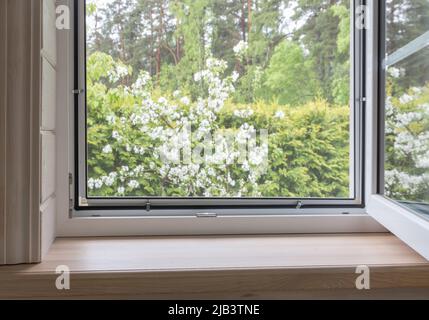 White window with mosuito net in a rustic wooden house Stock Photo