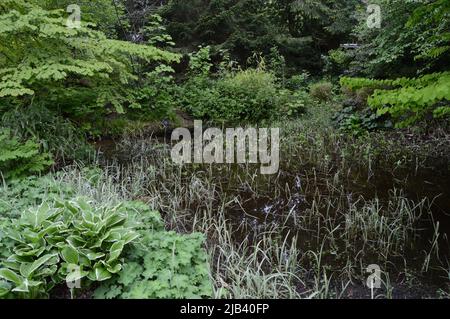 Beatrix Potter Garden, Birnam, can you spot Mr Jeremy Fisher, the Frog Stock Photo