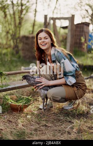 A woman farmer holds a chicken and looks at it to check the health and general condition of the bird on her home farm in the outdoor pen  Stock Photo