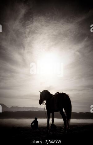 Horse and man at sunrise on top of Mt Bromo Volcano in Java, Indonesia Stock Photo