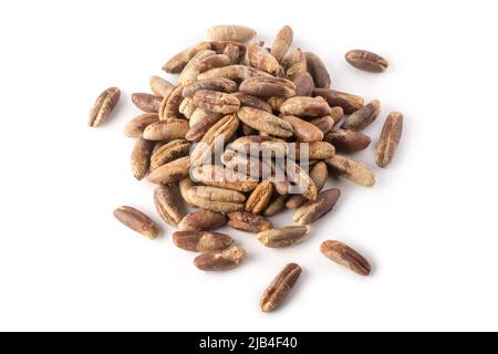 heap of dry seeds from fresh date palm, contain high amount of beneficial food ingredients, isolated on white background Stock Photo