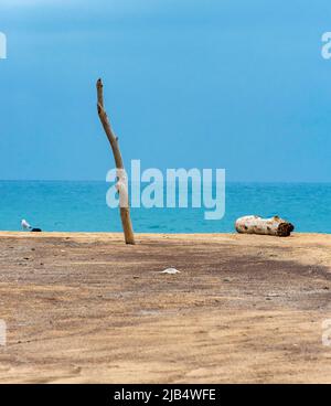 Wooden pole and driftwood on deserted beach, Spiaggia di Piscinas, Sardinia, Italy Stock Photo