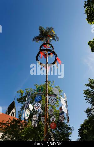 Maypole, decorated tree trunk, guild signs, tradition, customs, village ...