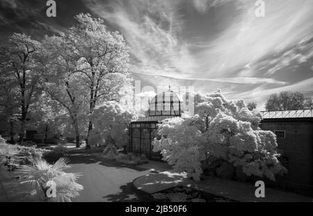 Greenhouse at the Moorish country house, infrared image, Wiilhelma, Zoological-Botanical Garden, Stuttgart, Baden-Wuerttemberg, Germany Stock Photo