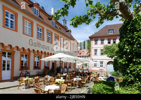 Gasthaus zum Eisernen Kreuz with guests on outdoor seating with plane trees (Platanus), fresh greenery and common ivy (Hedera helix) overgrown, tree Stock Photo