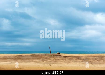 Wooden pole and driftwood on deserted beach, Spiaggia di Piscinas, Sardinia, Italy Stock Photo