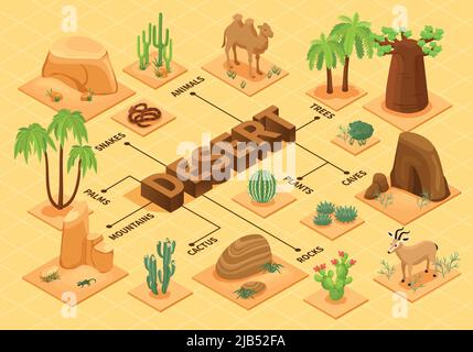 Desert flowchart with isometric plants mountains rocks caves animals 3d vector illustration Stock Vector