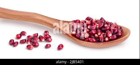 Purple corn seeds in wooden spoon isolated on white background with full depth of field Stock Photo