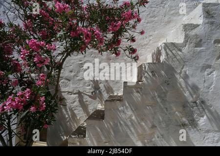 Traditional houses in chora Astypalea Stock Photo