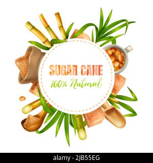 Sugar cane realistic design concept with manufacture and production symbols vector illustration Stock Vector