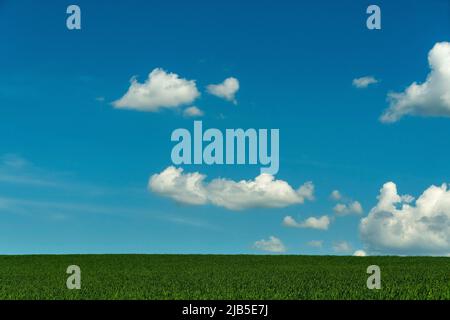 Clear blue sky with scattered clouds above a green meadow during a sunny day, France Stock Photo