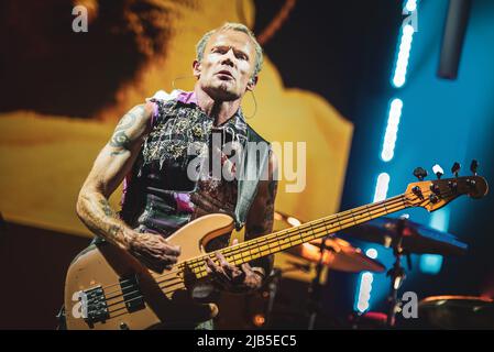 ZURICH, HALLENSTADION, OCTOBER 5TH 2016: Flea, bassist of the American funk rock band Red Hot Chili Peppers, performing live on stage for the Swiss leg of the “Getaway World Tour” Stock Photo