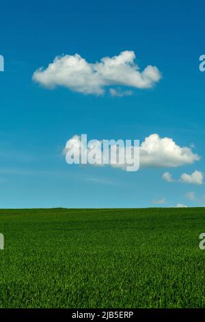 Clear blue sky with scattered clouds above a green meadow during a sunny day, France Stock Photo