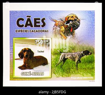 MOSCOW, RUSSIA - MAY 20, 2022: Postage stamp printed in Guinea-Bissau shows Block: German Shorthaired Pointer and Dachshund, Dogs serie, circa 2010 Stock Photo