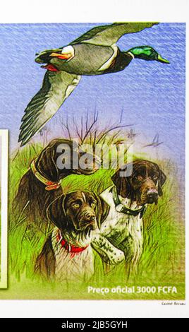 MOSCOW, RUSSIA - MAY 20, 2022: Postage stamp printed in Guinea-Bissau shows Block: German Shorthaired Pointer, Dogs serie, circa 2010 Stock Photo