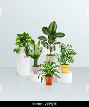 Colored composition of house plants on a light background closely standing next to each other realistic vector illustration Stock Vector