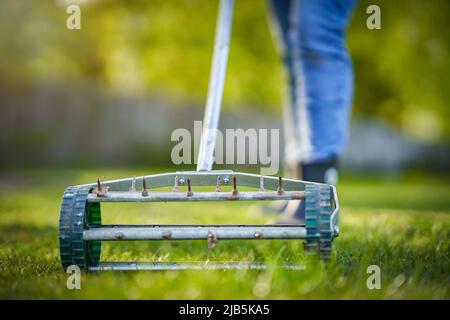 Picture of grass aerator on the green lawn Stock Photo