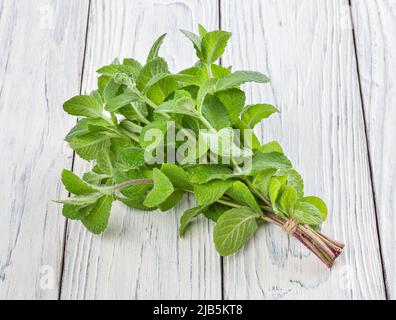 Bunch of fresh melissa on white wooden background Stock Photo