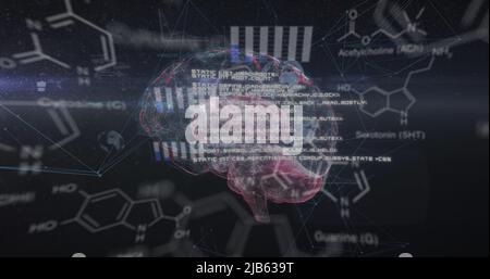 Image of chemical formulas and data processing over rotating brain on black background Stock Photo