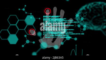 Image of chemical formulas and data processing over fingerprints on black background Stock Photo