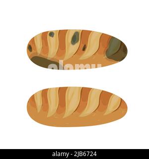 The mold on the loaf, set isolated on white background. Stock Vector