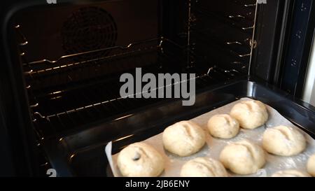 Pan of whole wheat buns rising in warm oven before baking Stock Photo