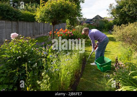 Hampshire, England, UK. 2022.  Woman preparing the ground  ready for new summer flowering plants in an English country garden Stock Photo