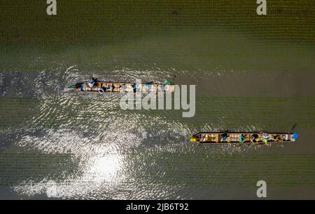 SHENYANG, CHINA - JUNE 3, 2022 - A mud dragon boat race is held at daomeng Space in Shenyang, Liaoning Province, China, June 3, 2022. In the Xibo town Stock Photo