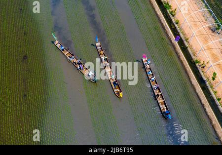 SHENYANG, CHINA - JUNE 3, 2022 - A mud dragon boat race is held at daomeng Space in Shenyang, Liaoning Province, China, June 3, 2022. In the Xibo town Stock Photo