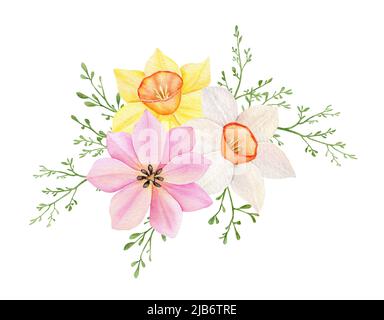 Floral bouquet. Watercolor pink tulip, yellow and white daffodles ornament. Hand drawn spring illustration. Decorative design elements. Stock Photo