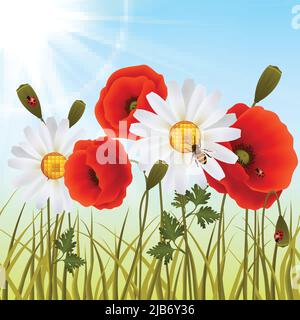 Red romantic poppy flowers white daisies and grass with ladybugs wallpaper vector illustration Stock Vector